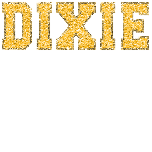 Dixie Faux Embroidery Glitter by Print Palette