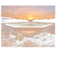 Randomness 127 - Baseball Field Halftone