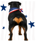 Randomness 1459 - Rott Butt Usa
