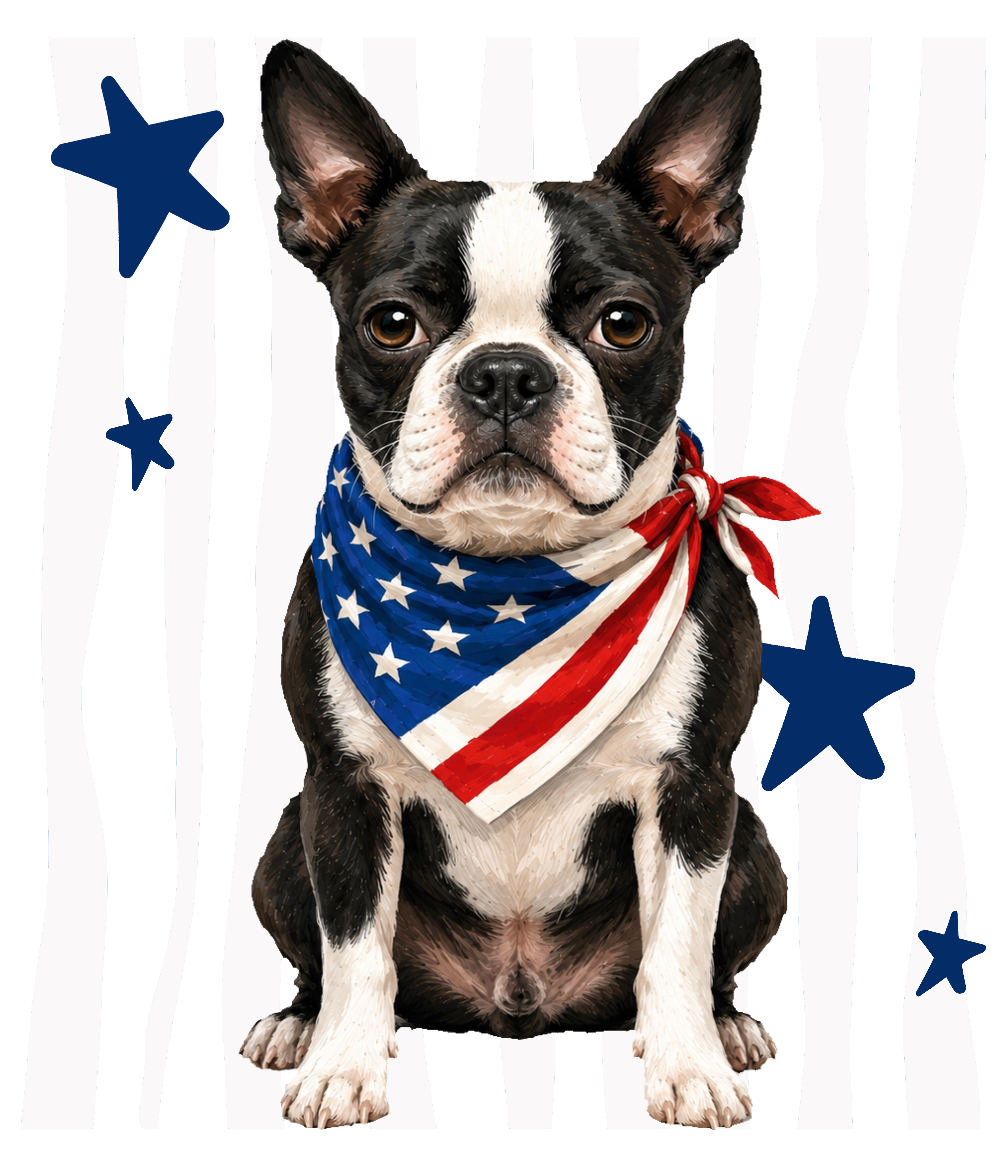 Randomness 373 - Boston Terrier Front Usa