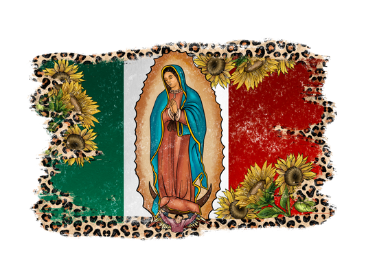Teacher 527 - Ourlady