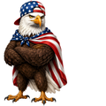 Randomness 59 - American Eagle Usa