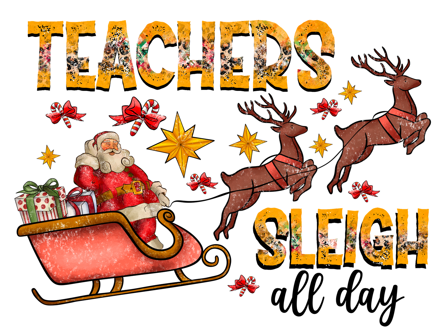 Teacher 743 - Teacherssleighallday