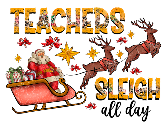Teacher 743 - Teacherssleighallday