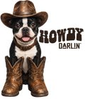 Randomness 854 - Howdy Darlin Boston Terrier