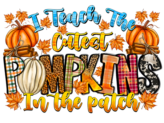 Teacher 381 - Iteachthecutestpumpkinsinthepatch