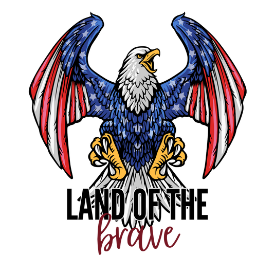 4th of July 104 - 4 (5)