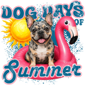 Randomness 568 - Dog Days Summer Frenchie