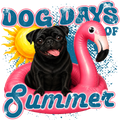 Randomness 559 - Dog Days Black Pug