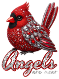 Cardinal angels are near (1)