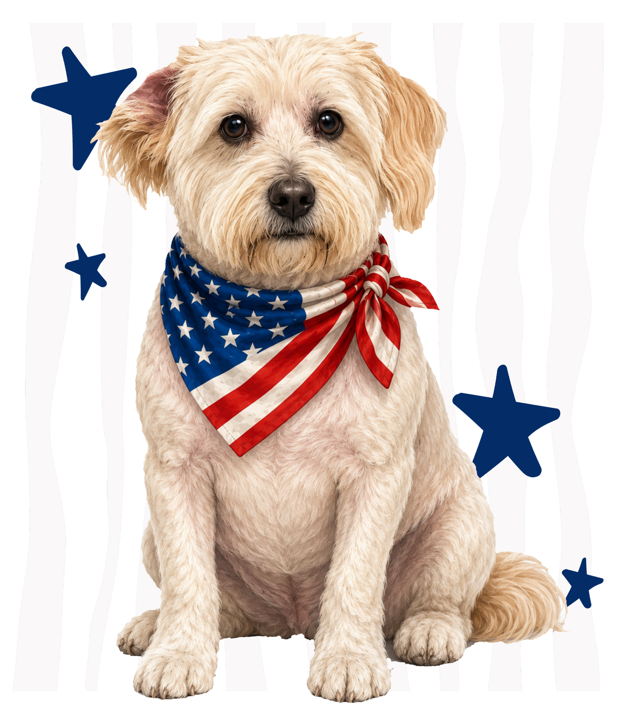 Randomness 1636 - Terrier Front Usa