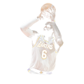 Randomness 973 - Lebron4