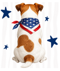 Randomness 882 - Jack Russell Back Usa