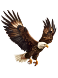 Holy Spirit eagle 1