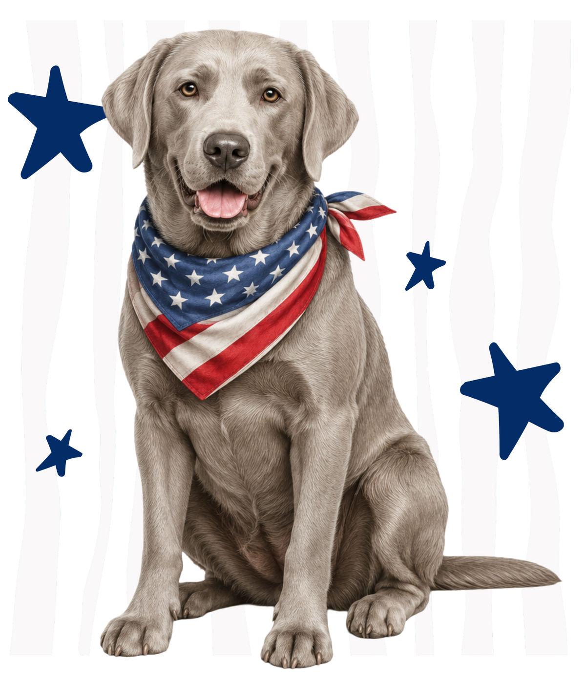 Randomness 1529 - Silver Lab Front