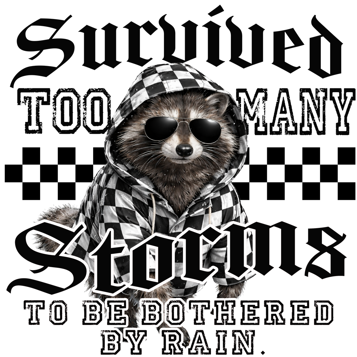 Randomness 1595 - Survived Storms Raccoon