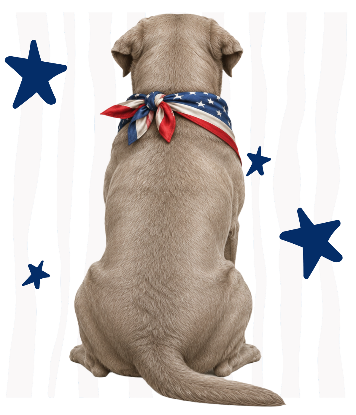 Randomness 1528 - Silver Lab Back