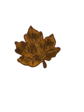 brown leaf