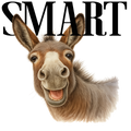 Randomness 1547 - Smart Ass Donkey Man