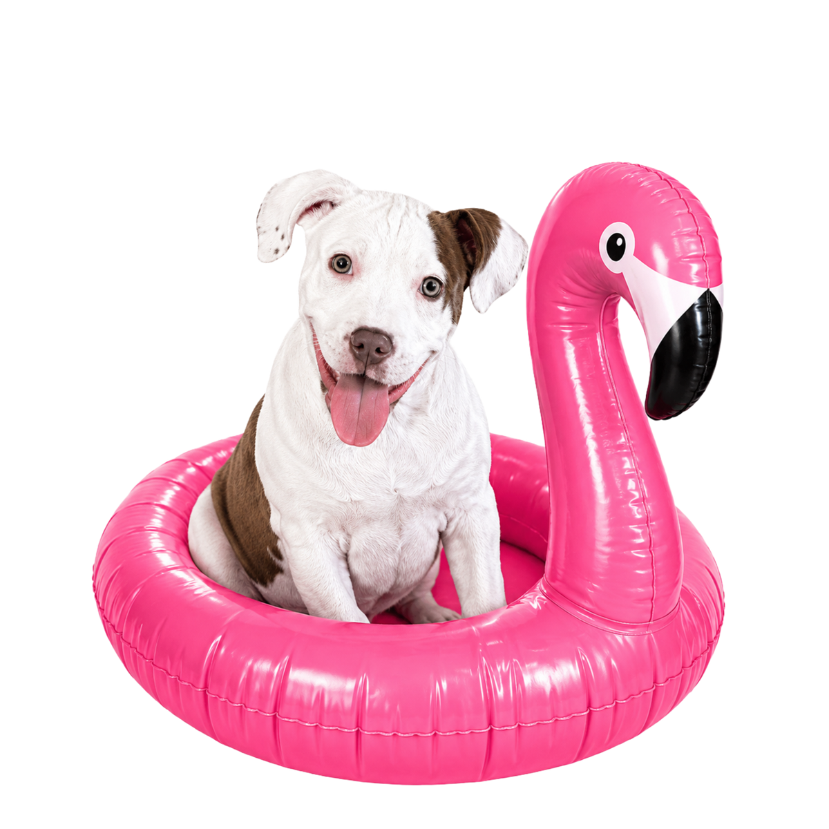 Randomness 1320 - Pit Puppy Float