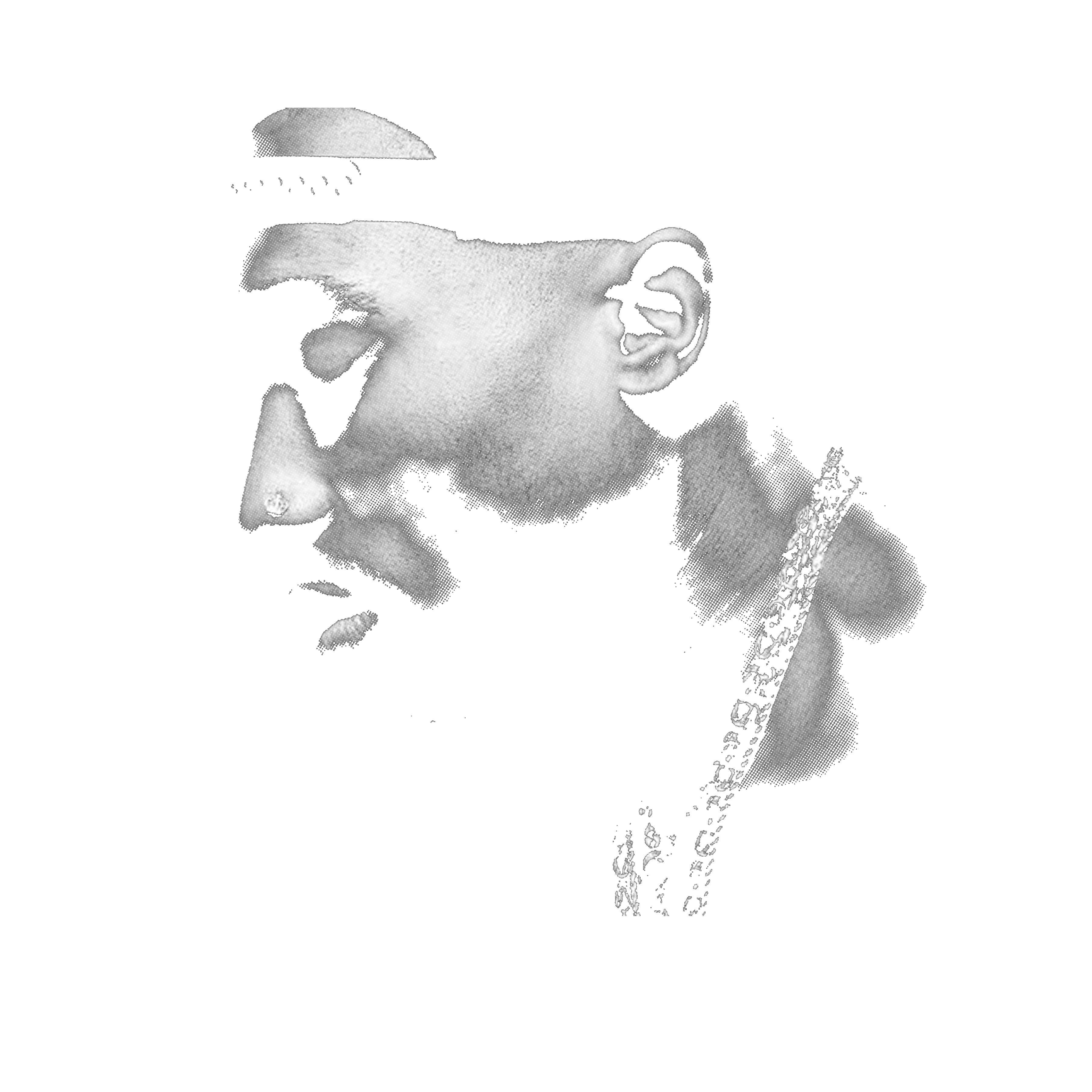 Randomness 1720 - Tupac Profile Halftone