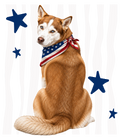 Randomness 867 - Huskyback