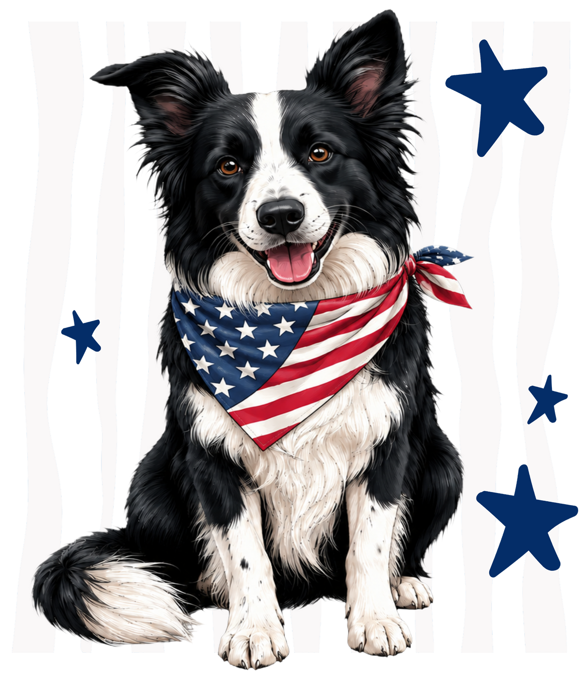 Randomness 469 - Collie Front Usa