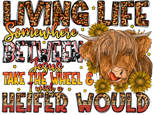 Teacher 430 - Livinglifesomewherebetweenjesustakethewheeliwisheaheiferwould