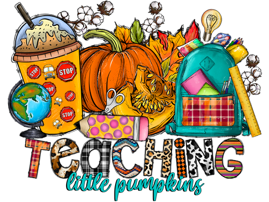 Teacher 753 - Teachinglittlepumpkins 2
