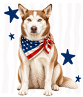 Randomness 868 - Huskyfront Usa