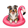 Randomness 101 - Australian Shepherd Float
