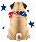 Randomness 1390 - Pug Usa Back