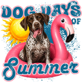 Randomness 569 - Dog Days Summer Gsp