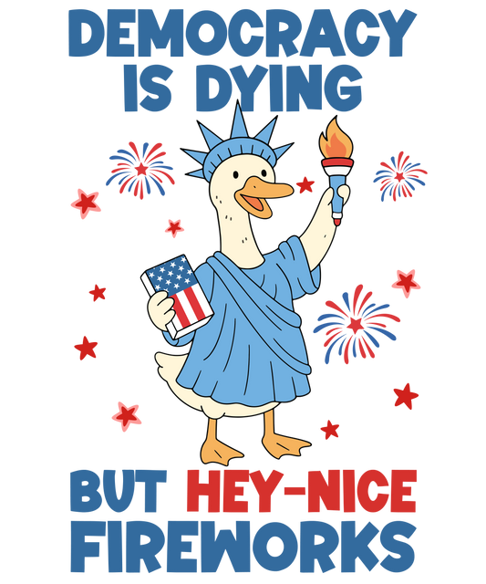 4th of July 503 - Or 31052025 Vtn 4th Of July Silly Goose Democracy Is Dying
