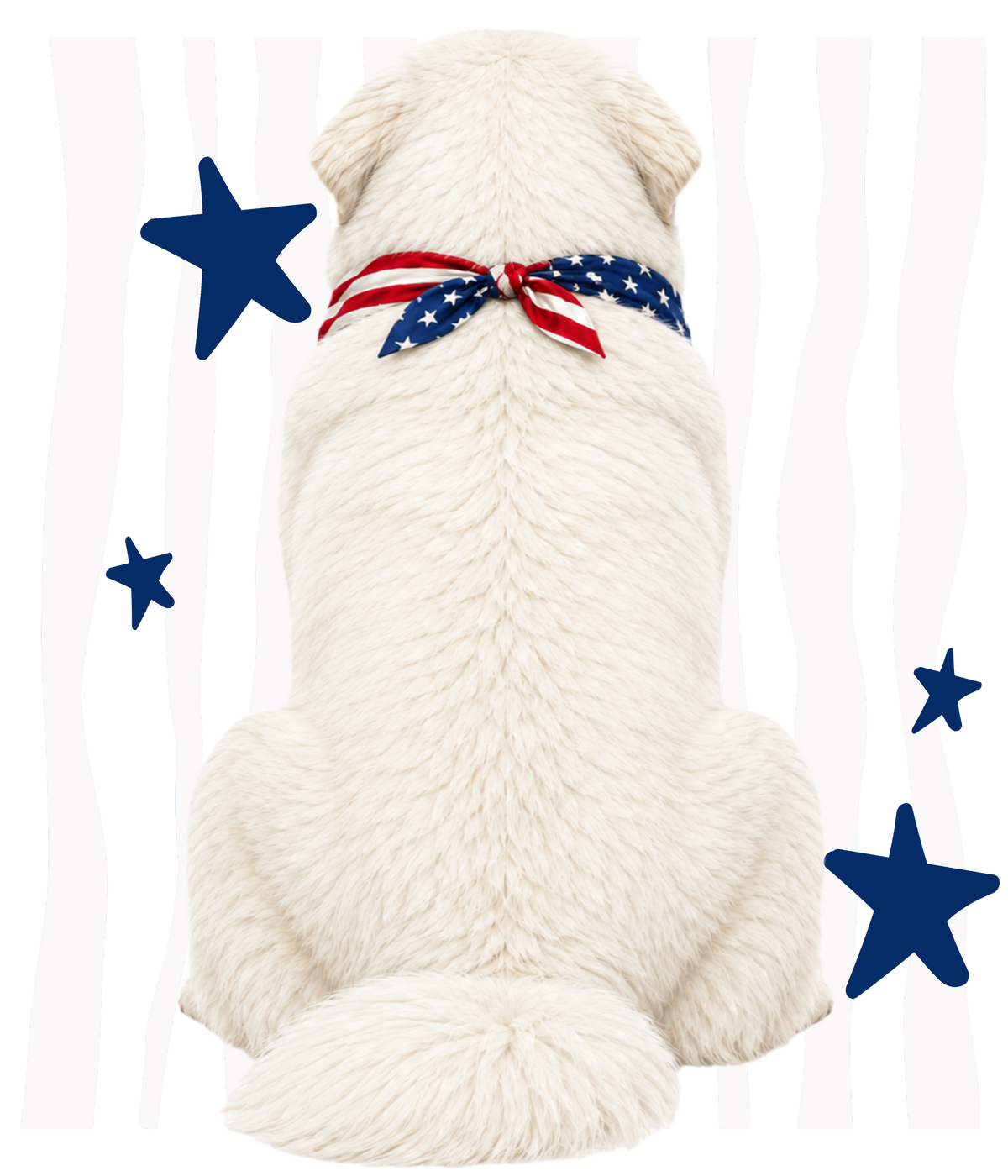 Randomness 793 - Great Pyrenees Back