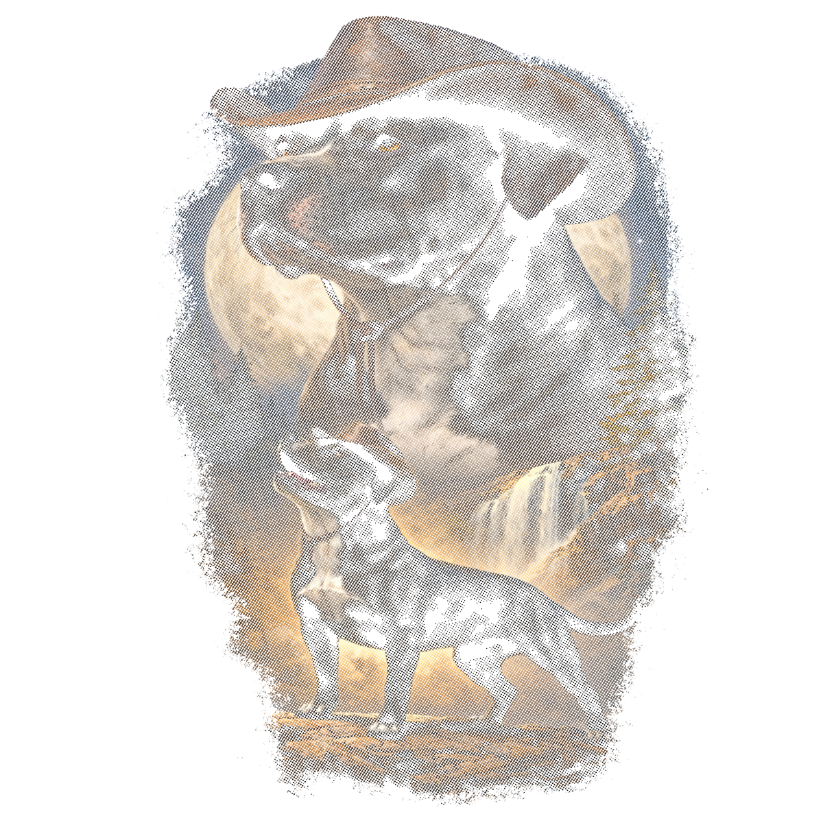 Randomness 1325 - Pitbull Western Halftone