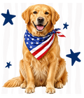 Randomness 745 - Golden Retriever Usa