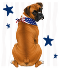 Randomness 376 - Boxer Back Usa