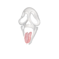 Randomness 711 - Ghostfacetongueout