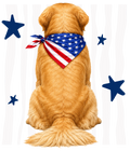 Randomness 744 - Golden Retriever Back Usa