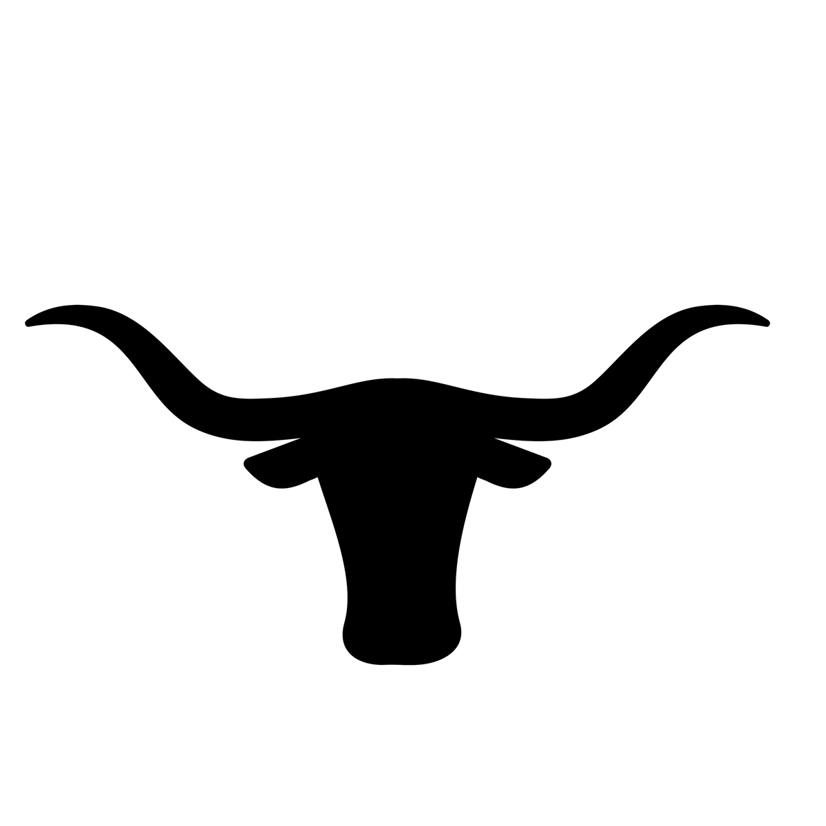 Randomness 993 - Longhorn