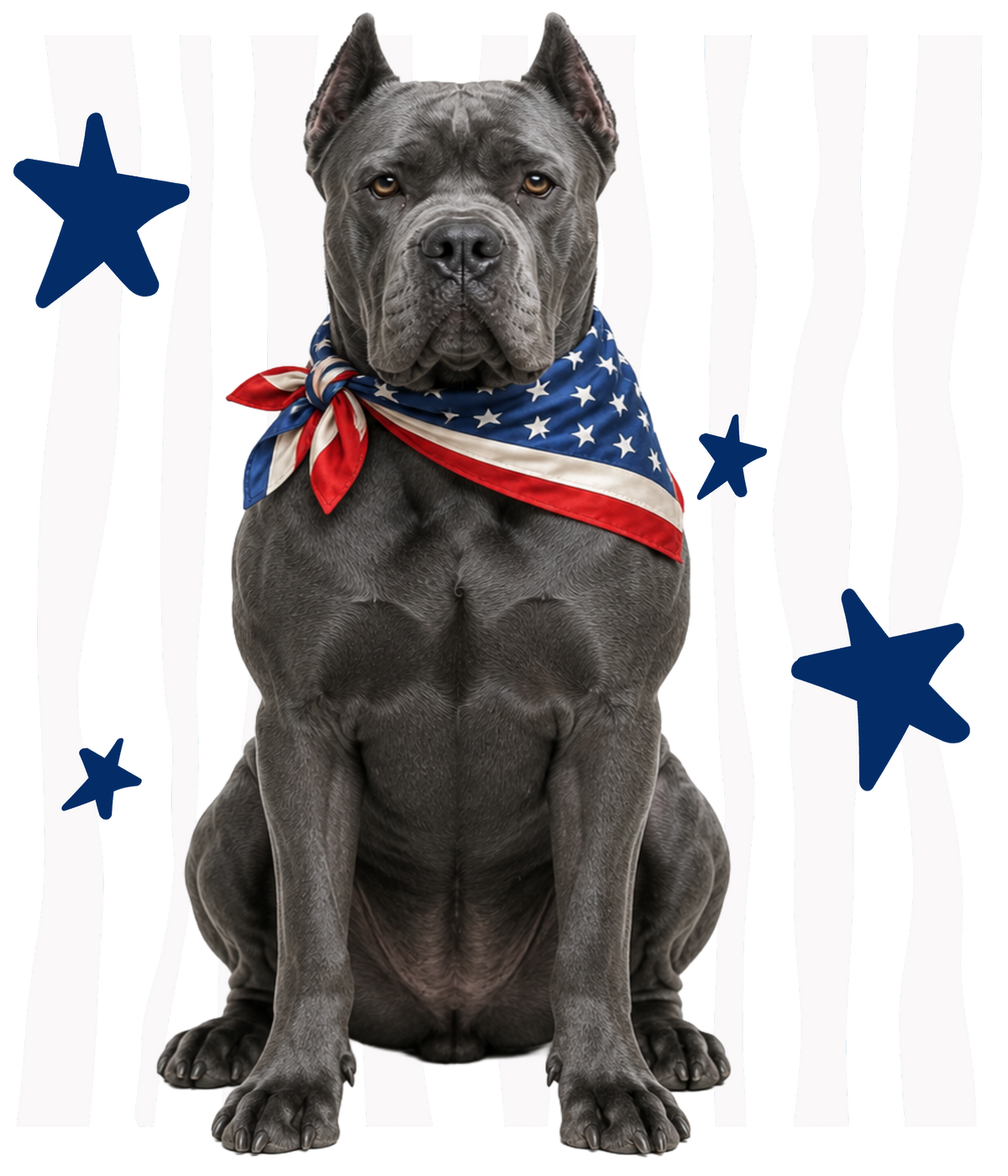 Randomness 430 - Cane Corso Usa Front