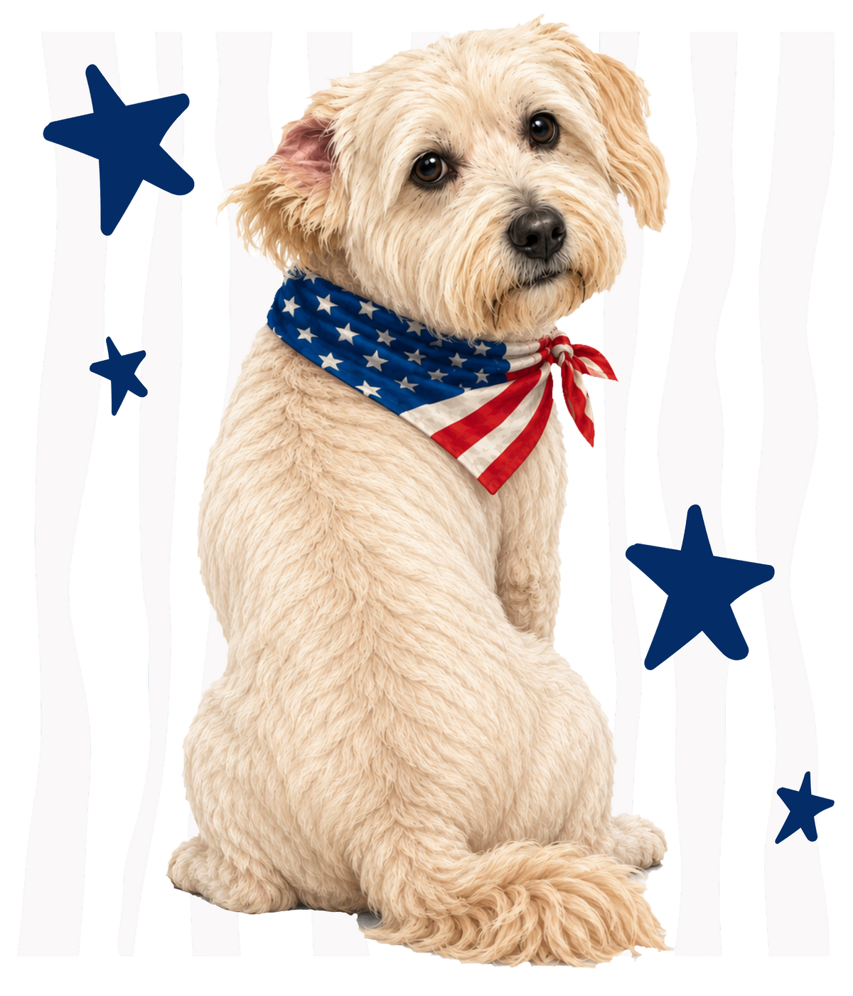 Randomness 1635 - Terrier Back Usa