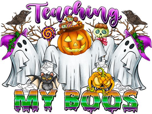 Teacher 760 - Teachingmyboos