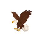 Randomness 593 - Eagle