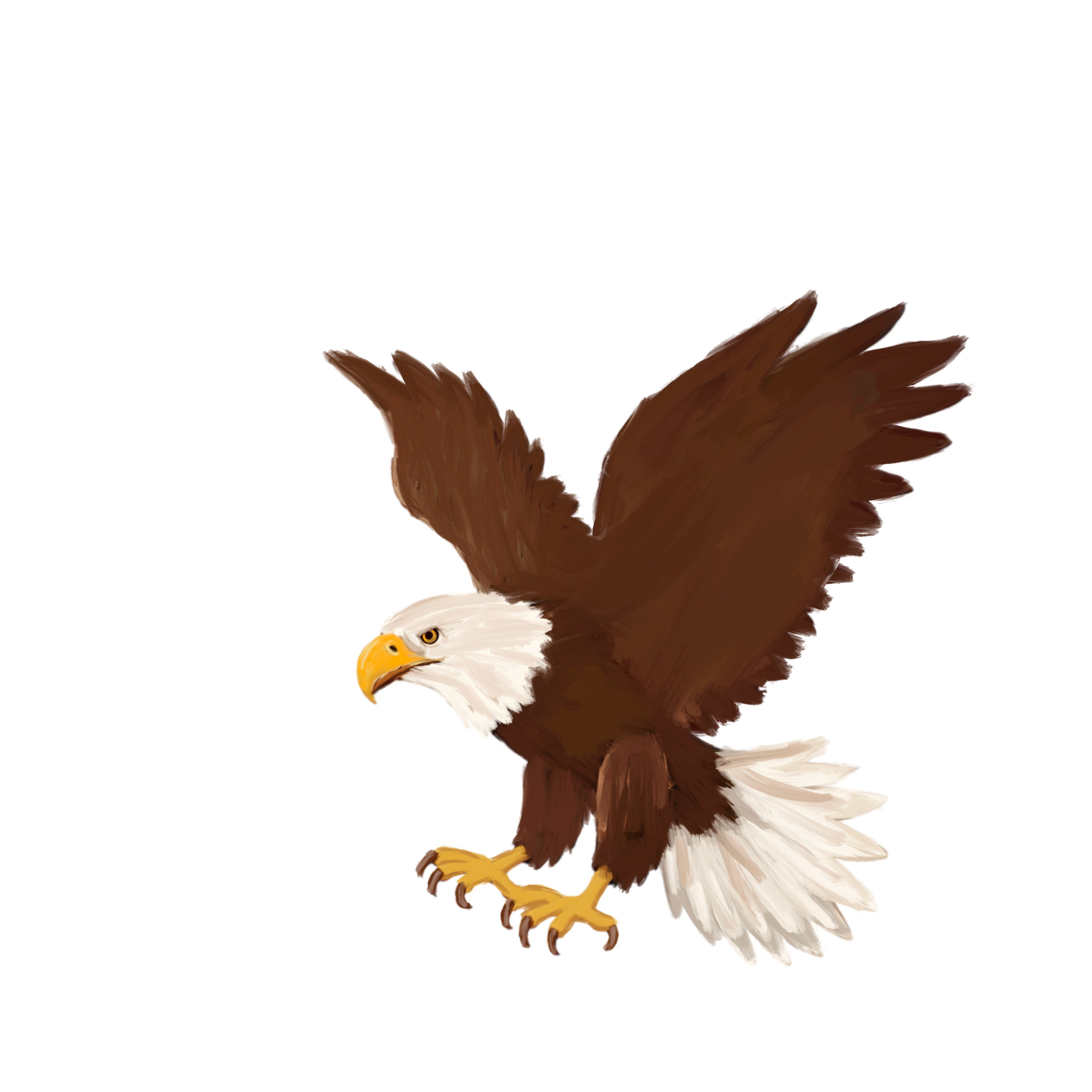 Randomness 593 - Eagle