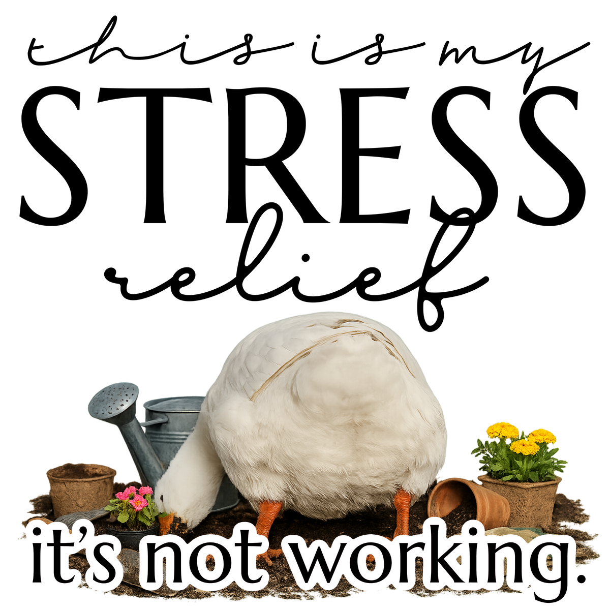 Randomness 1585 - Stressreliefgoose