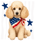 Randomness 1331 - Poodle Front Usa
