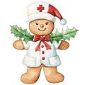 Nursing 407 - Nurse (390)