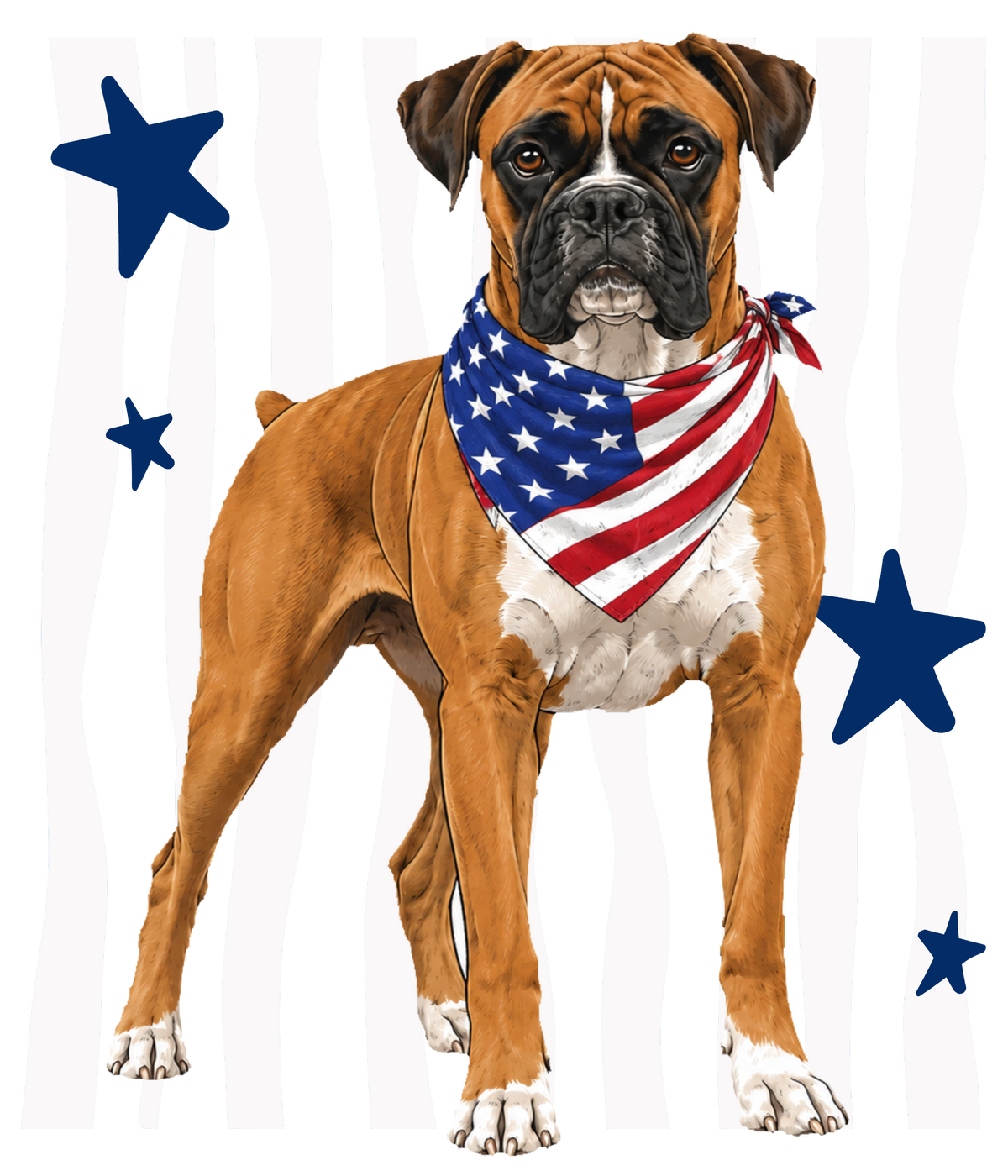 Randomness 378 - Boxer Usa Front